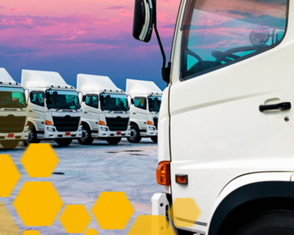 Seguro e Responsabilidade Civil – Como criar uma empresa de Transporte?