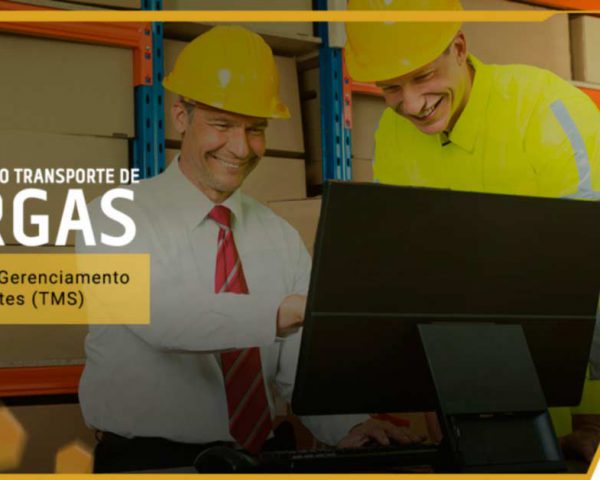 Sistemas de Gerenciamento de Transportes (TMS) – Tecnologias no Transporte de Cargas