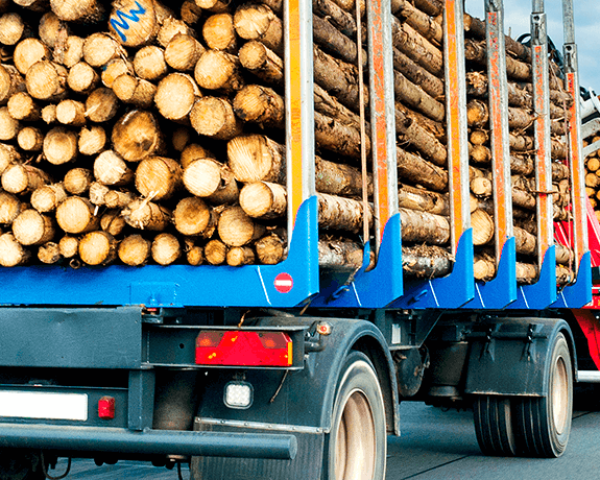Carga seca: saiba como transportá-la com segurança