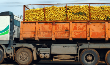 Entenda todas as regras para o transporte de alimentos