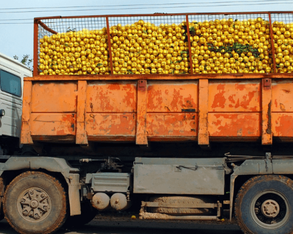 Entenda todas as regras para o transporte de alimentos