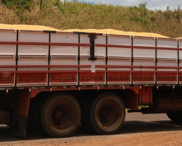 Entenda todas as regras para o transporte de grãos