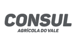 Consul