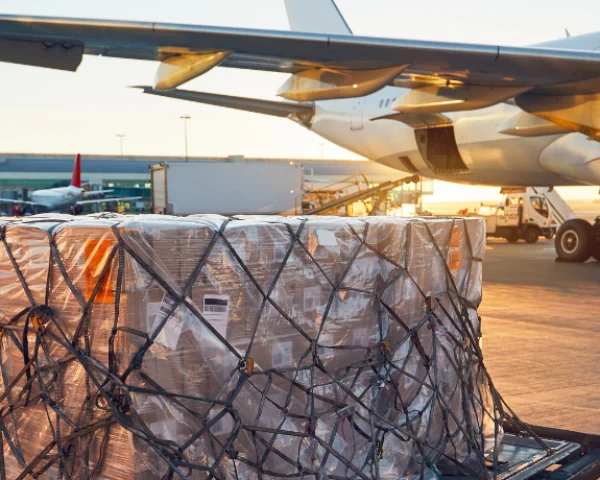 Transporte de carga aérea: como se especializar nessa área?