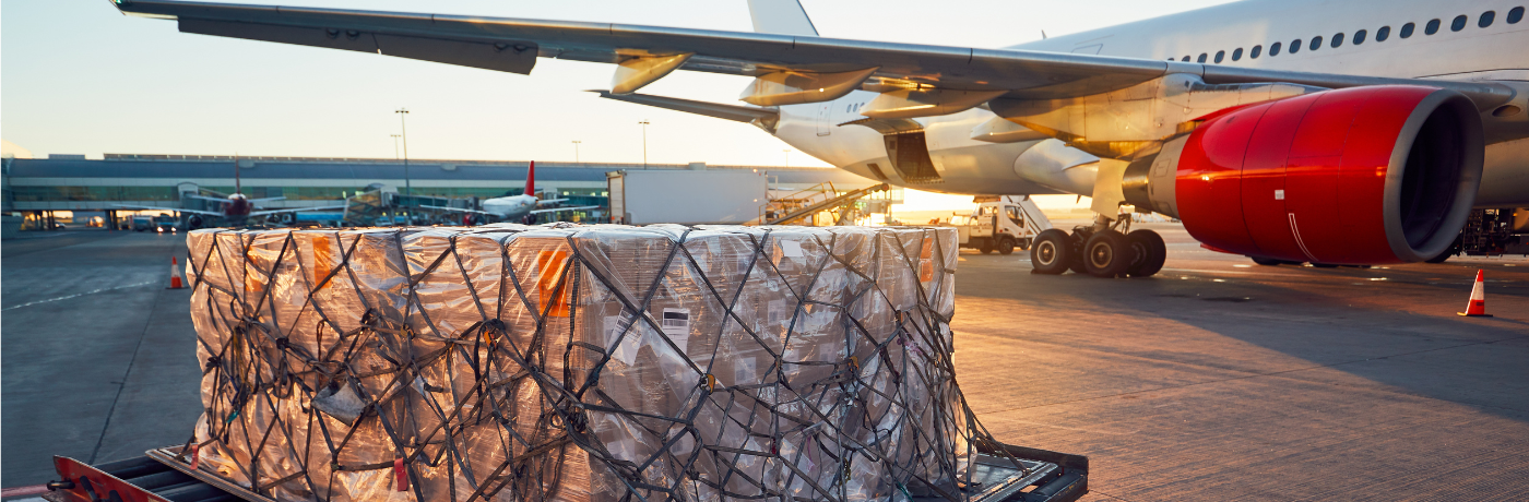 Transporte de carga aérea: como se especializar nessa área?