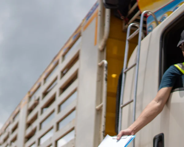 NCM de frete: entenda o que é e a partir de quando ele será obrigatório no MDFe